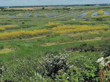 Photo de Observatoire des Marais