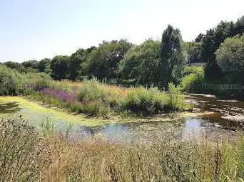 Jardins de Martin Champ