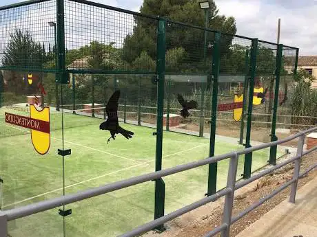 Photo de Pista de pádel