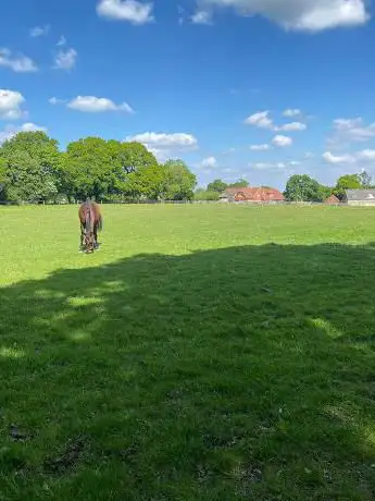 Kingsfold Equestrian