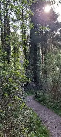 South West Coast Path (Clinton Way)