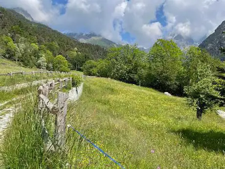 Mont Avic