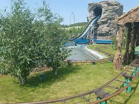 Crocodile Coaster