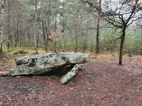 Photo de Dolmen de la Pierre Ardoue