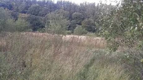 Natural Reserve