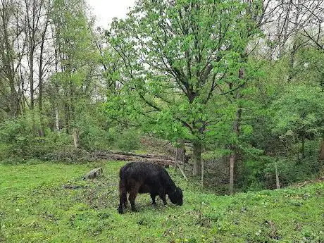 Ingang natuurgebied zijde rivier