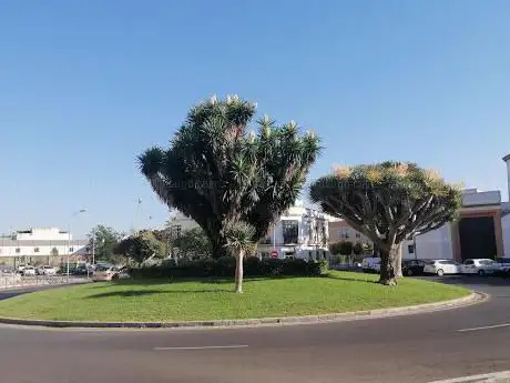 Photo de Plaza de la Constitución Garden