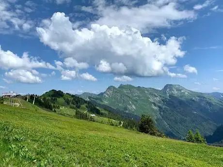 Photo de Le chaux Fleurie