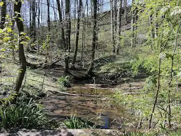 Photo de Vuylbeek valley