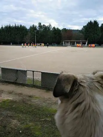 Photo de Campo de Futbol de Sande (O Toural)