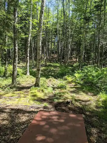 Photo de Acadia Disc Golf at Hapana DGC