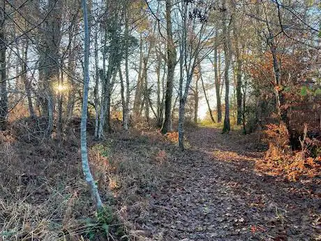 Photo de Bois d'Aire sur l'Adour