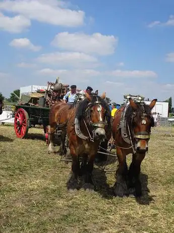 Photo de Hoevefeesten Kalmthout