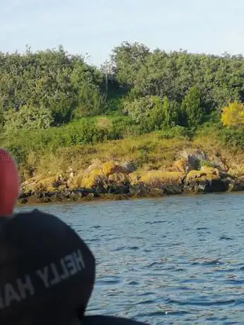 Cruceiro da Virxe dos Miragres de Cortegada