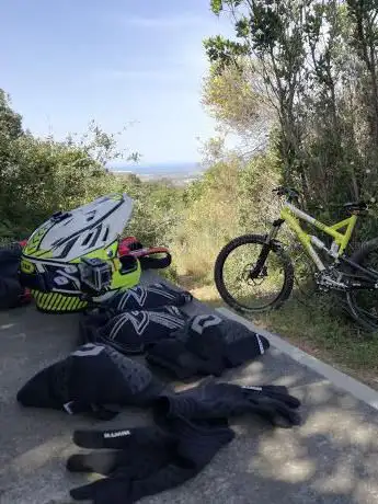 Bosco di Su Padentinu