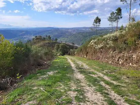 Photo de Os Paramiños