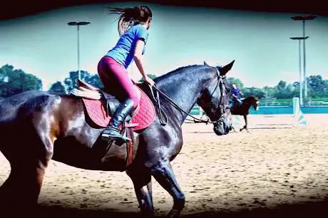 Photo de Scuola Equitazione - Tevere Time Horse Club