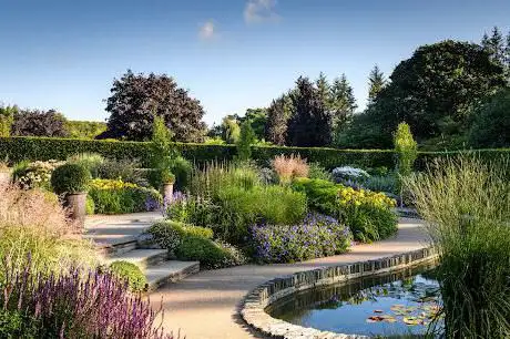Cool Garden