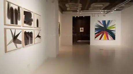 MPV Gallery | Knokke