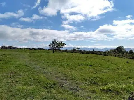 Mariandyrys North Wales Wildlife Trust nature reserve