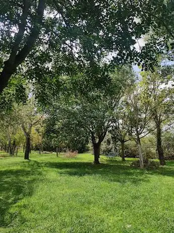 Parco Via Serpentara