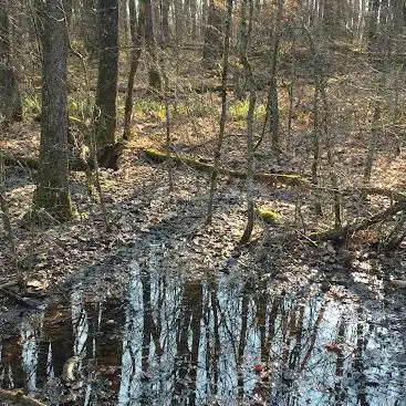 Réserve naturelle de Laconnex
