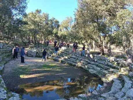 Nooraghe Srls
