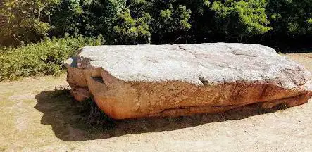 Photo de La Table des Marthes