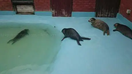 Photo de The Seal Sanctuary Wildlife Centre
