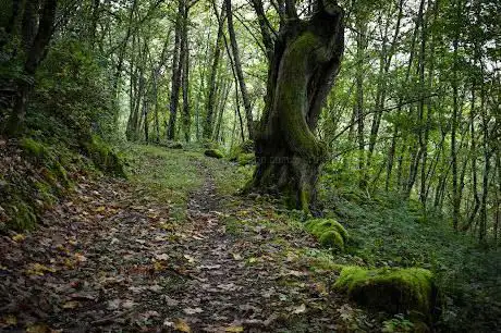 Photo de Souto de Agüeira