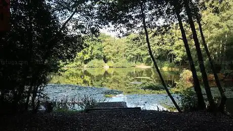 Photo de Pear Wood Nature Reserve