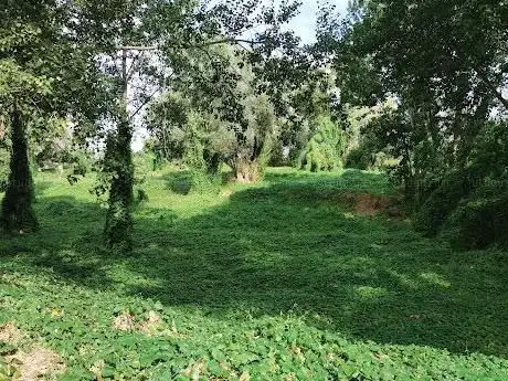 Photo de Bosco Della LITE