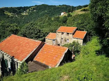 cà negrè