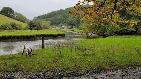 Kilminorth Woods
