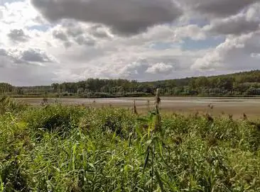 Photo de Natuurreservaat grootbroek