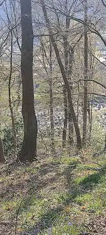 l'archevêque Woods