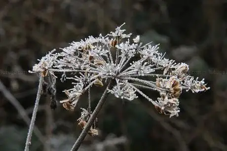 Photo de Hoddesdon Woods