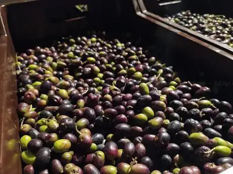 AZIENDA AGRICOLA NICHELE di Farina Maurizia