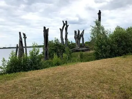 Photo de Bomenmonument