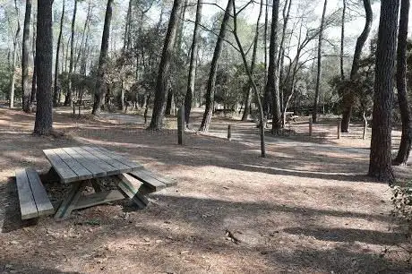 Photo de Bois de Gicon