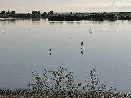 Photo de Observatori d'ocells Volcam