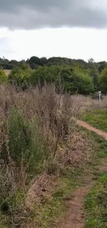 Burlish Meadows