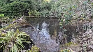 Source