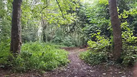 Photo de Britannia Woods