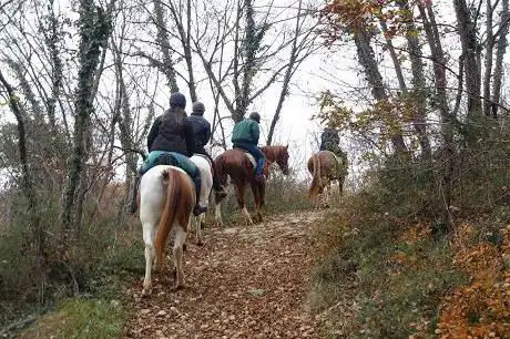 Centro Equestre Paglia e Fieno