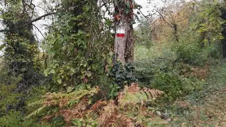 MONTE GIORNETTO