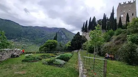 Photo de Giardino dei Semplici