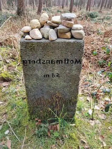 Klever Reichswald