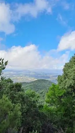 Foresta demaniale di Castiadas