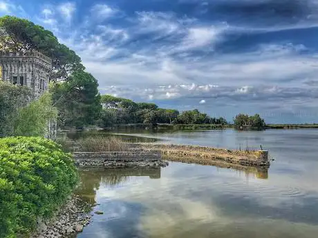 Parco Regionale Migliarino San Rossore, Massaciuccoli